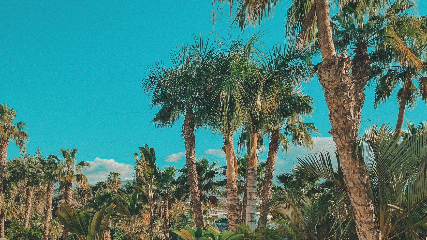 Introducing the Sunkissd Travel Series: Your Guide to Sun-Kissed Adventure